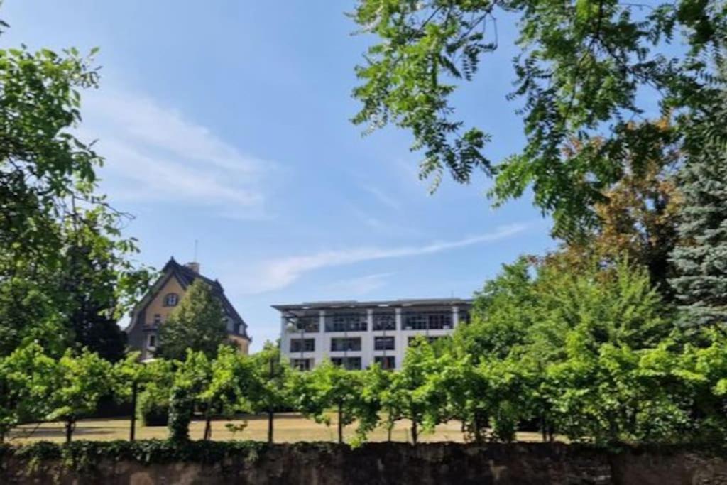 Wohnwerk: Penthouse - Moselblick Apartment Traben-Trarbach Bagian luar foto